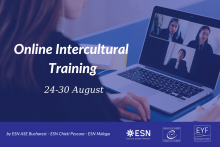 Online Intercultural Training